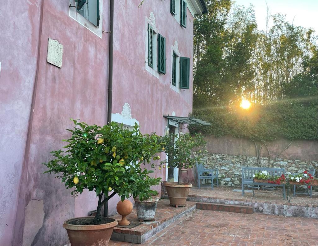 Villa Lorien Massarosa Exterior photo
