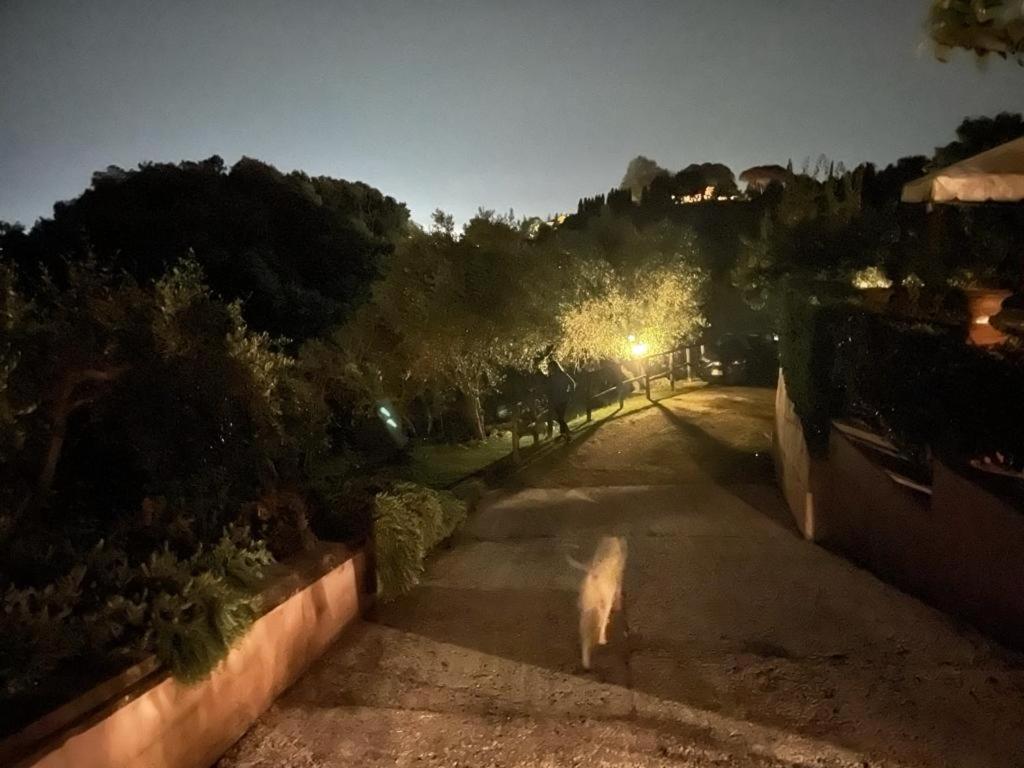 Villa Lorien Massarosa Exterior photo